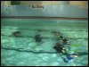 [Skills circuit]
